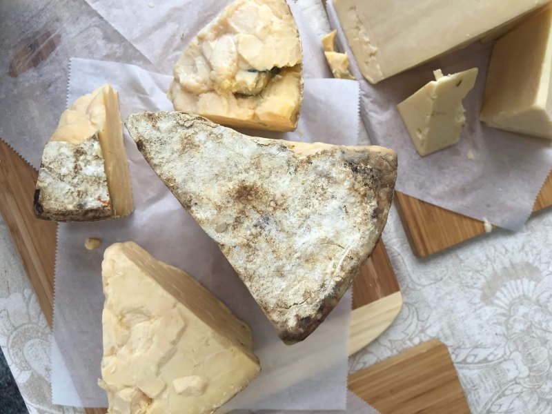 Vegan cheese made with fermentation. Credit: The Spoon