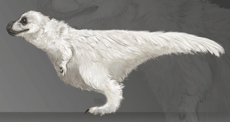 polar dinosaurs and how they survived