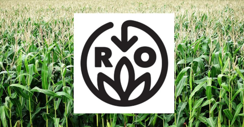 roc corn field farm crop agriculture x