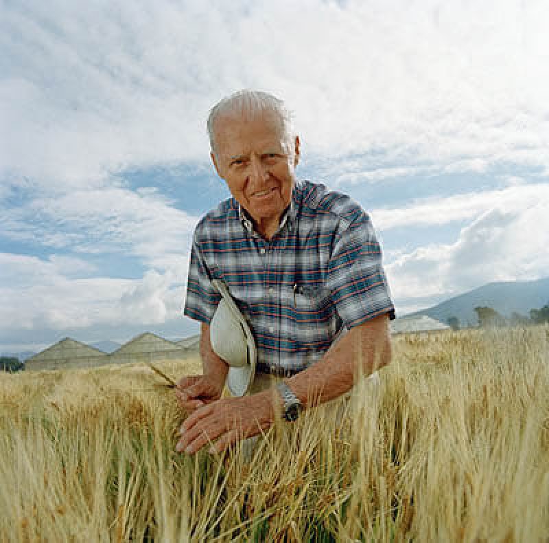rs borlaug norman in field