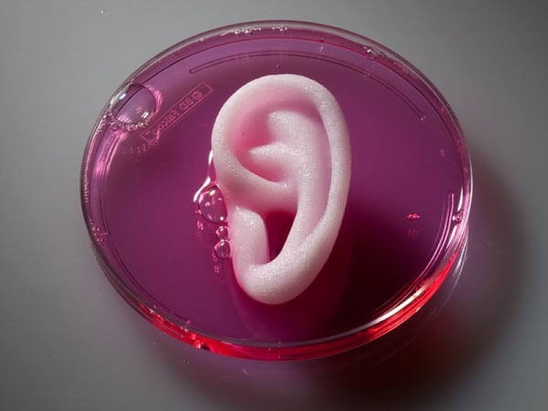 science human body upgrades artificial ear x