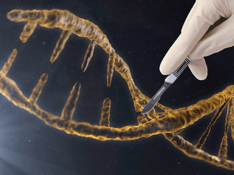 scientists in the uk could win approval to genetically modify human embryos