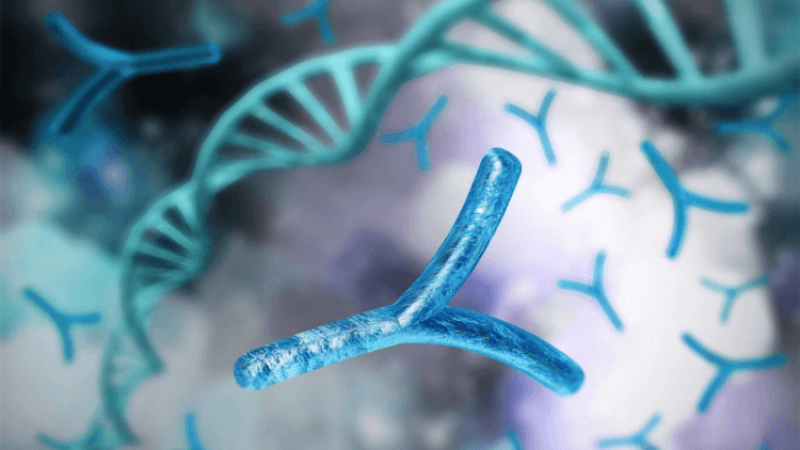 why the y chromosome is disappearing