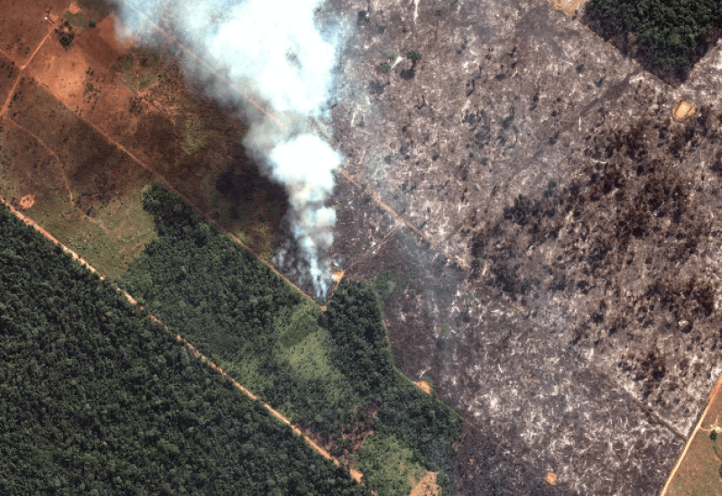 screenshot amazon rainforest fires indigenous tribal lands are burning here s how to help
