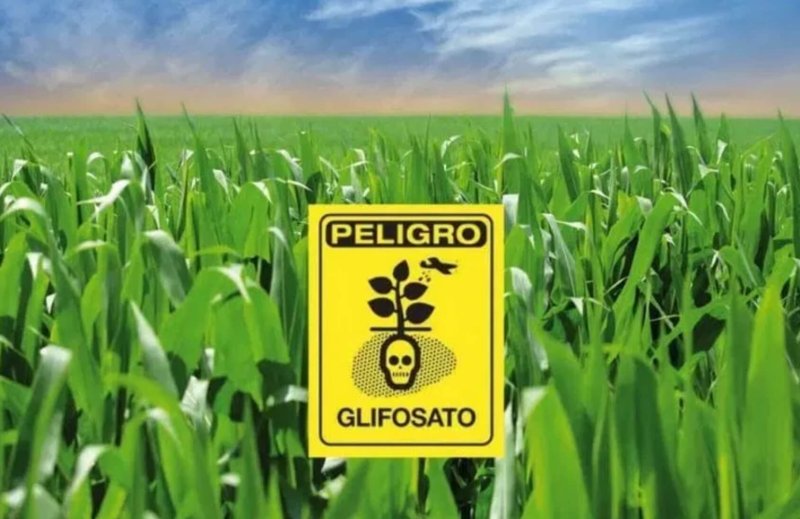 screenshot mexico sets date for ban of glyphosate present in herbicides and in corn the mazatlan post
