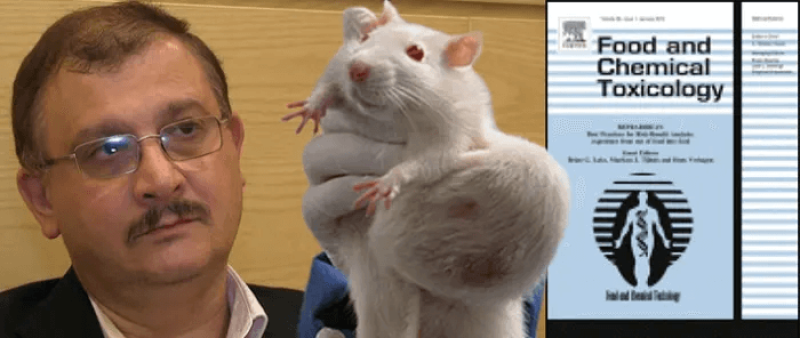 seralini tumour rat food and chemical toxicology px