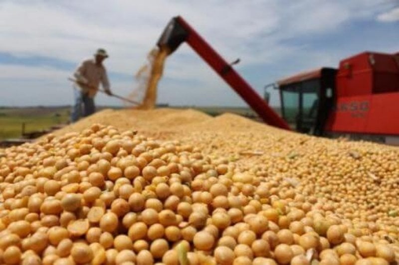 soybean paraguay