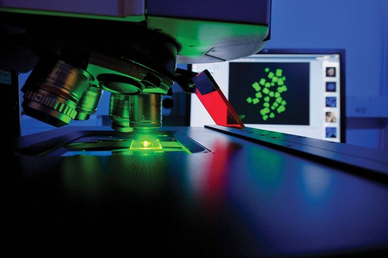 st jude pediatric genome project pop science
