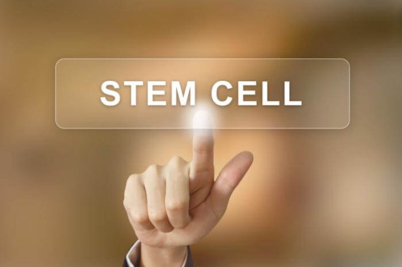 stem cell on a screen
