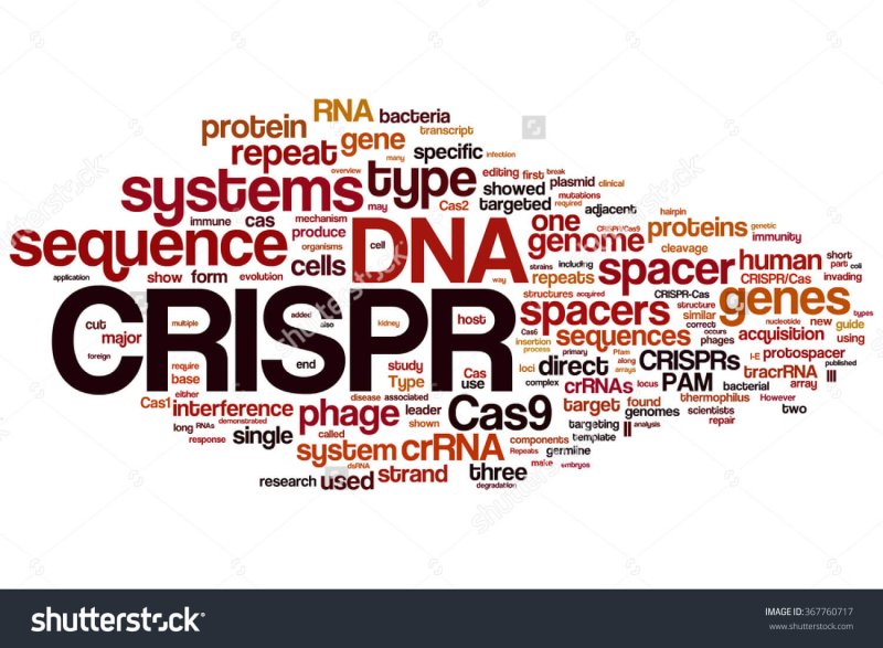stock photo crispr cas system for editing regulating and targeting genomes biotechnology and genetic