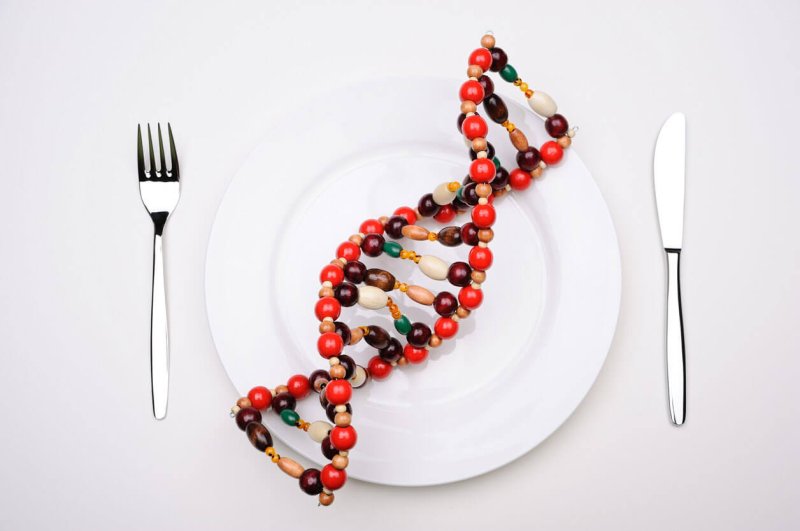 strand of dna genetics