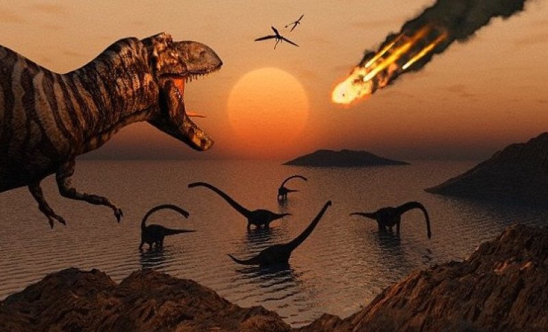 study birds had to relearn flight after meteor wiped out dinosaurs
