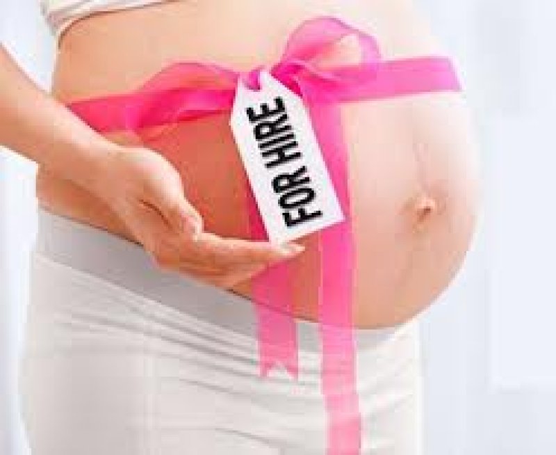 surrogacy for hire