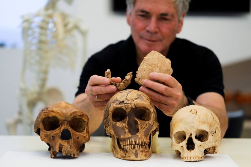 Tel Aviv University Professor Israel Hershkovitz holds what scientists say are two pieces of fossilized bone of a previously unknown kind of early human. Credit: Ammar Awad/Reuters