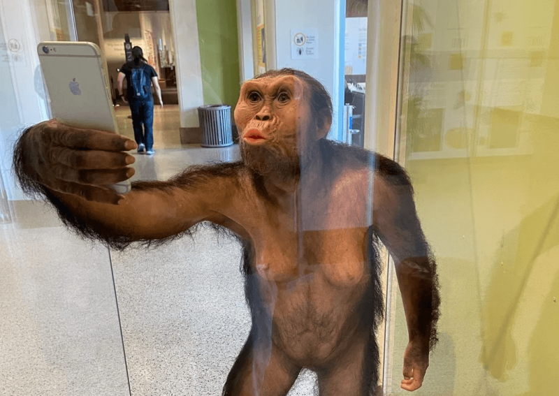 Head to the museum’s second floor to snap a selfie with the lifelike sculpture of the world famous Australopithecus afarensis, Lucy. Credit: Jack Tamisiea, NMNH