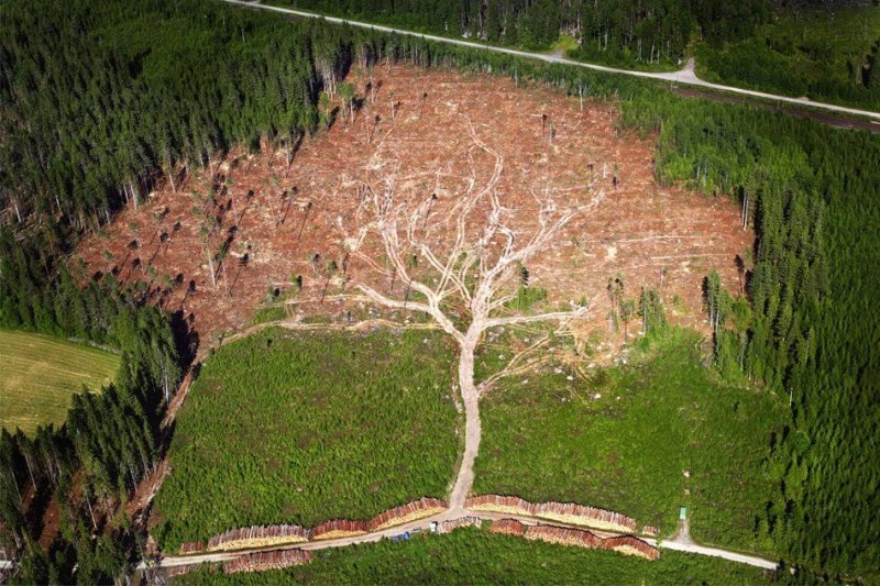 Biotech offers sustainable solutions to reduce land use. Credit: Prochlapy.cz