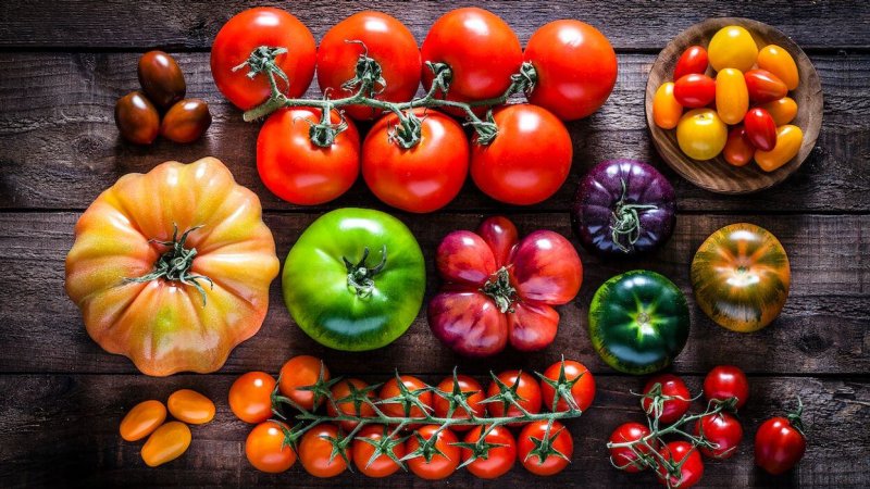 Tomato varieties. Credit: FCAfotodigital via Getty Images