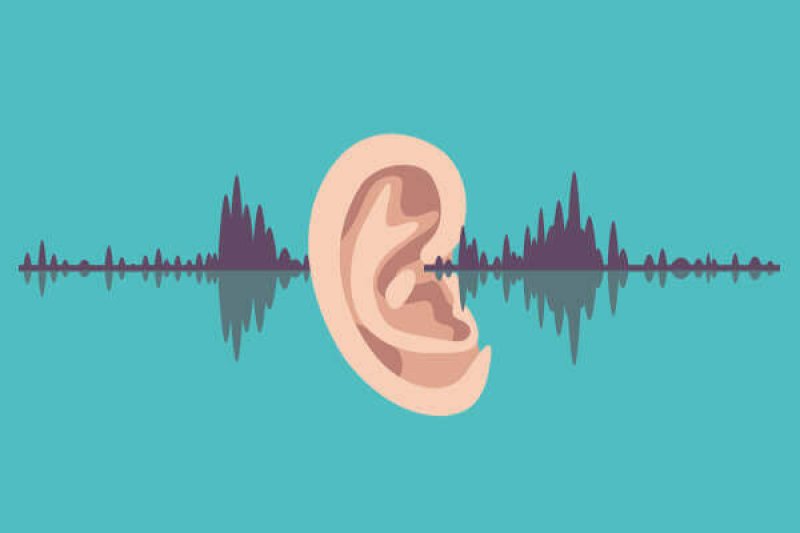 understanding high frequency hearing loss