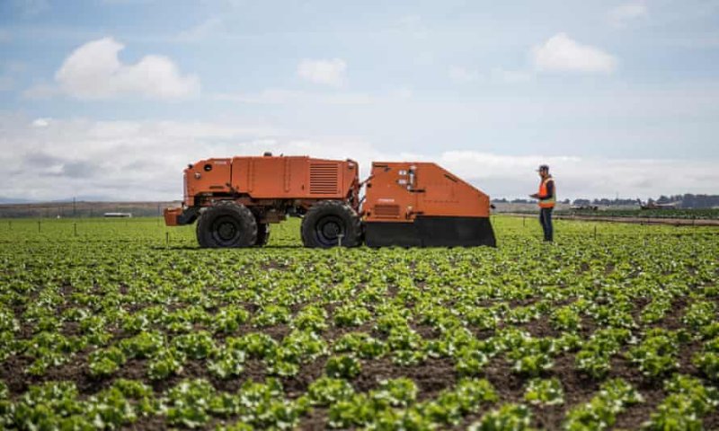 Farming robots are being used by farmers in California and Arizona. Credit: FarmWise