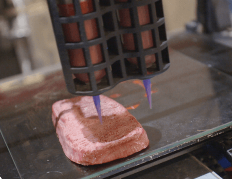 NovaMeat’s 3D printed vegan steak. Credit: NovaMeat