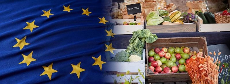 Viewpoint; Europe needs to embrace cutting-edge biotechnologies for food sustainability and security