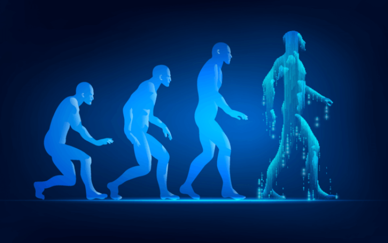 evolution of walking