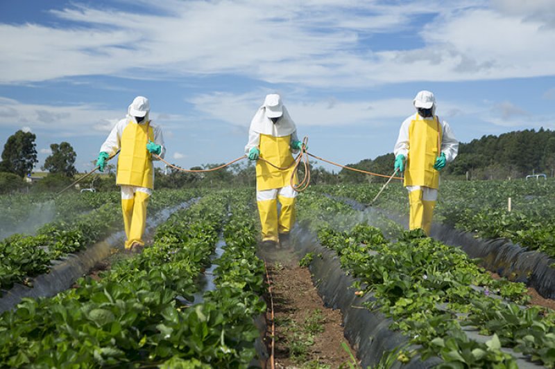 Growers in Ventura County apply a philosophy called Integrated Pest Management. Safety equipment and safe spraying is a major consideration. Credit: Shutterstock