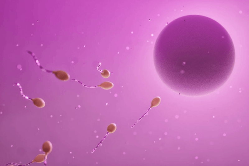 ‘Making a new person from skin or blood cells’ but no egg and sperm?’ Scientists debate ethics of ‘synthetic human reproduction