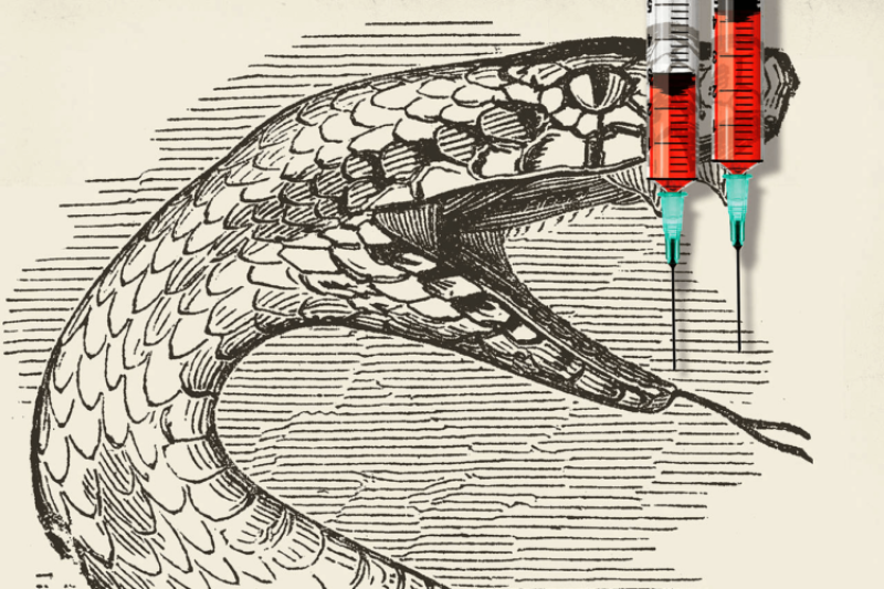 animal venom used in medicine