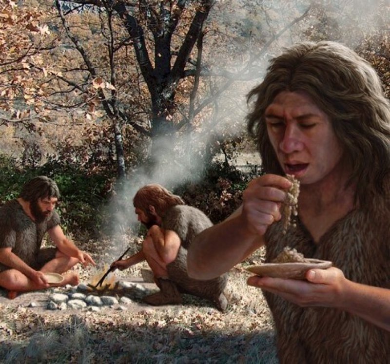 web C Neanderthals cooking vegetables artwork SPL