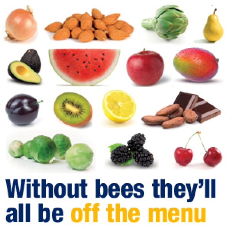 without bees they d all be off the menu