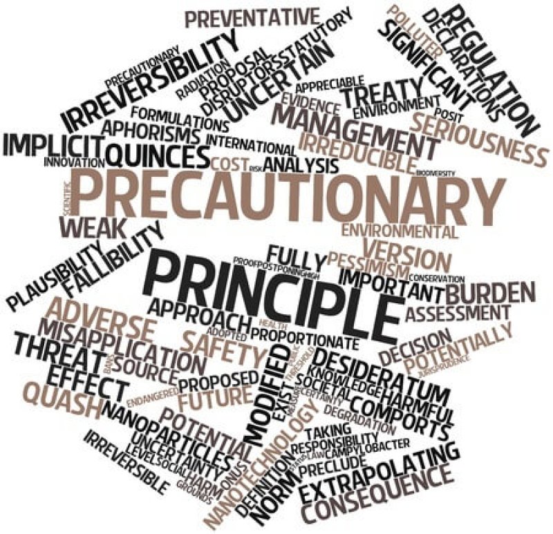 word cloud precautionary principle