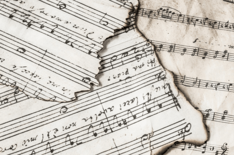 ‘It’s no wonder that music, like language, is universal among us’: How rhythm shaped human evolution