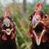 Curious what chickens cluck about? AI is decoding the language of poultry