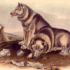 image ancient dogs