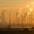 What explains Homo sapiens’ huge brains? Ancient climate change played a role