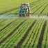 photodune farming tractor s