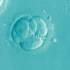 UK scientists support loosening restrictions limiting embryo research