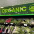 organic scaled